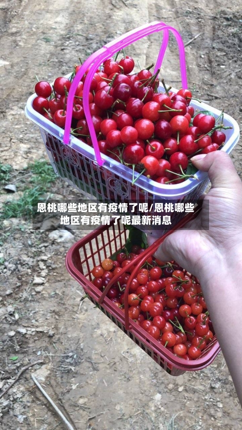 恩桃哪些地区有疫情了呢/恩桃哪些地区有疫情了呢最新消息