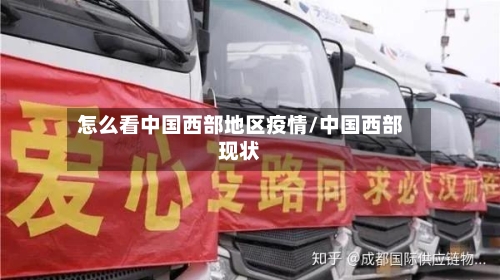 怎么看中国西部地区疫情/中国西部现状-第2张图片