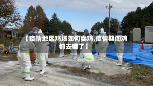 【疫情地区鸡场如何卖鸡,疫情期间鸡都去哪了】-第3张图片