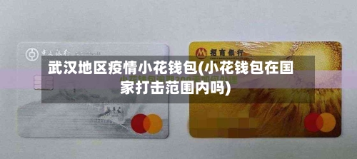 武汉地区疫情小花钱包(小花钱包在国家打击范围内吗)