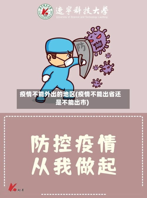 疫情不能外出的地区(疫情不能出省还是不能出市)