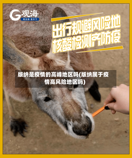 版纳是疫情的高峰地区吗(版纳属于疫情高风险地区吗)-第2张图片