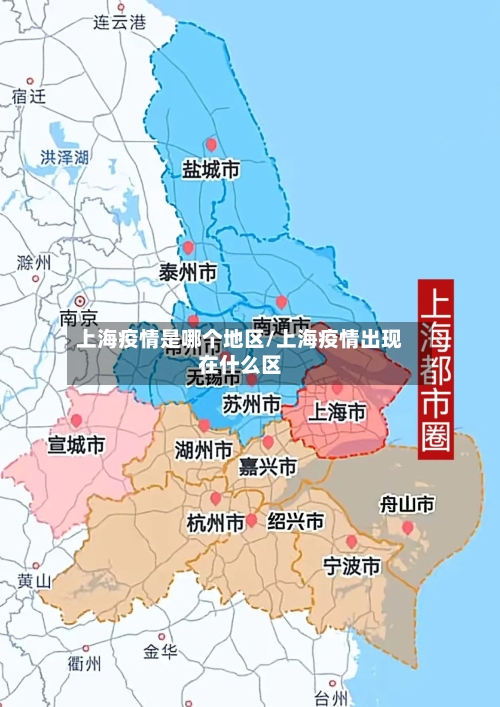 上海疫情是哪个地区/上海疫情出现在什么区
