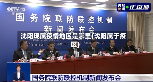 沈阳现属疫情地区是哪里(沈阳属于疫区)