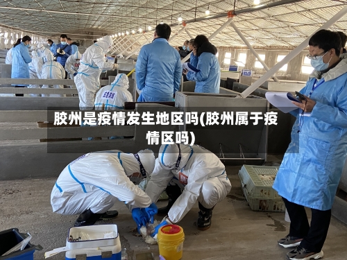 胶州是疫情发生地区吗(胶州属于疫情区吗)