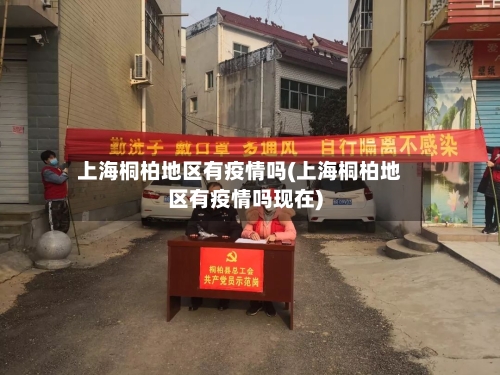 上海桐柏地区有疫情吗(上海桐柏地区有疫情吗现在)