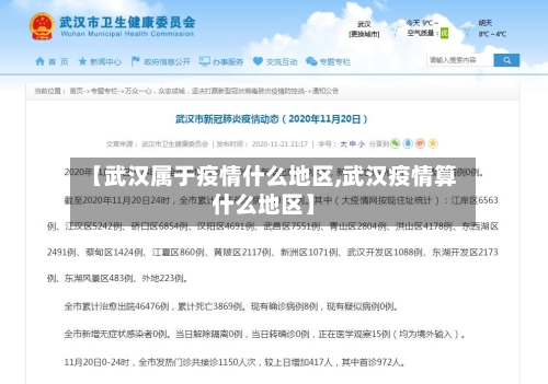 【武汉属于疫情什么地区,武汉疫情算什么地区】