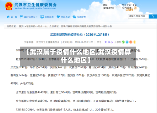 【武汉属于疫情什么地区,武汉疫情算什么地区】-第2张图片