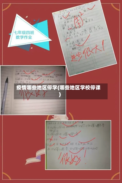 疫情哪些地区停学(哪些地区学校停课)