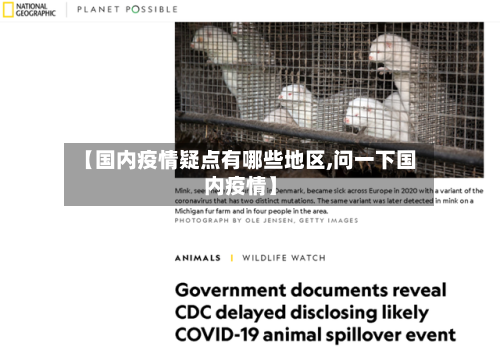 【国内疫情疑点有哪些地区,问一下国内疫情】-第2张图片