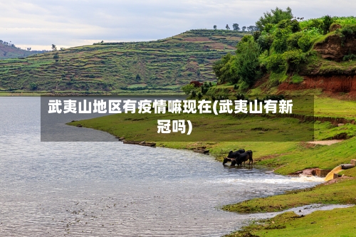 武夷山地区有疫情嘛现在(武夷山有新冠吗)