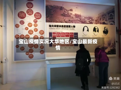 宝山疫情实况大华地区/宝山最新疫情-第3张图片