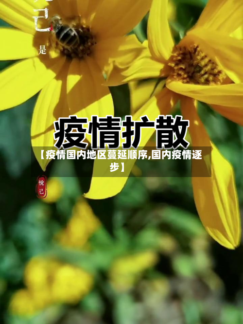 【疫情国内地区蔓延顺序,国内疫情逐步】