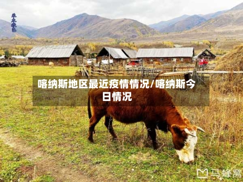 喀纳斯地区最近疫情情况/喀纳斯今日情况-第2张图片