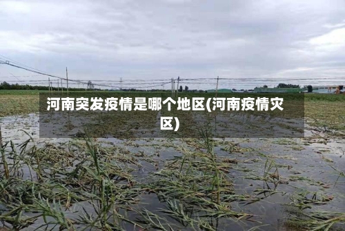 河南突发疫情是哪个地区(河南疫情灾区)