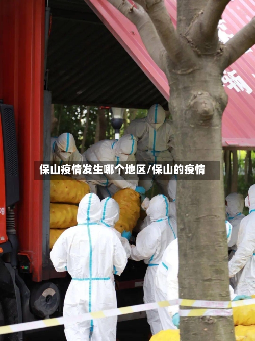 保山疫情发生哪个地区/保山的疫情-第3张图片