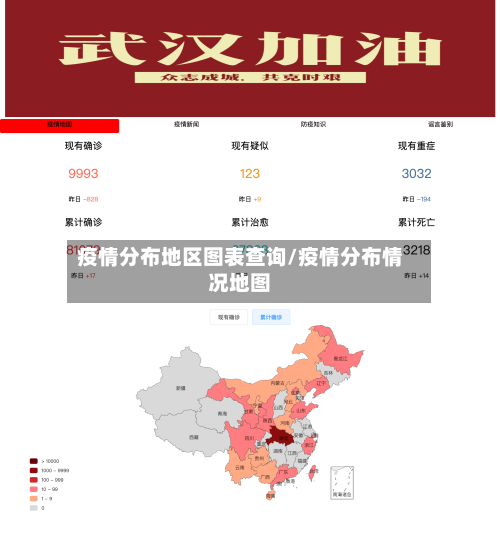 疫情分布地区图表查询/疫情分布情况地图