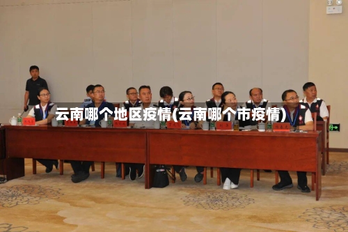云南哪个地区疫情(云南哪个市疫情)-第2张图片