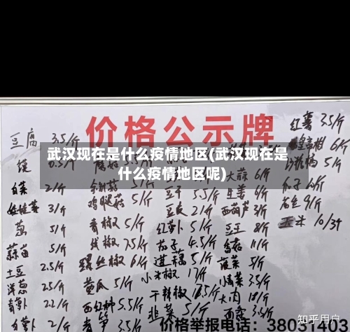 武汉现在是什么疫情地区(武汉现在是什么疫情地区呢)-第3张图片