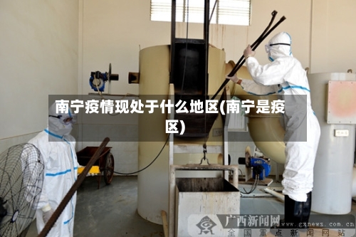 南宁疫情现处于什么地区(南宁是疫区)-第2张图片