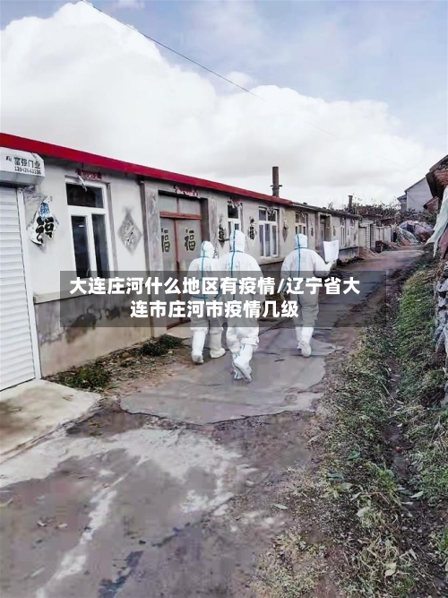 大连庄河什么地区有疫情/辽宁省大连市庄河市疫情几级