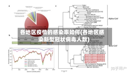 各地区疫情的感染率如何(各地区感染新型冠状病毒人数)-第2张图片