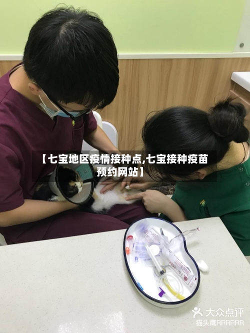 【七宝地区疫情接种点,七宝接种疫苗预约网站】-第2张图片
