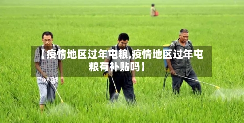 【疫情地区过年屯粮,疫情地区过年屯粮有补贴吗】-第2张图片