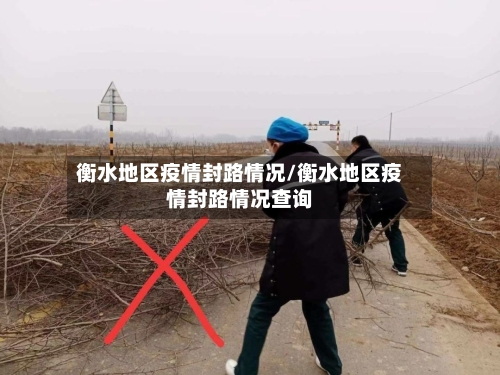 衡水地区疫情封路情况/衡水地区疫情封路情况查询