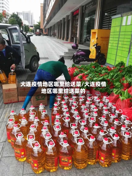 大连疫情地区哪里给送菜/大连疫情地区哪里给送菜的