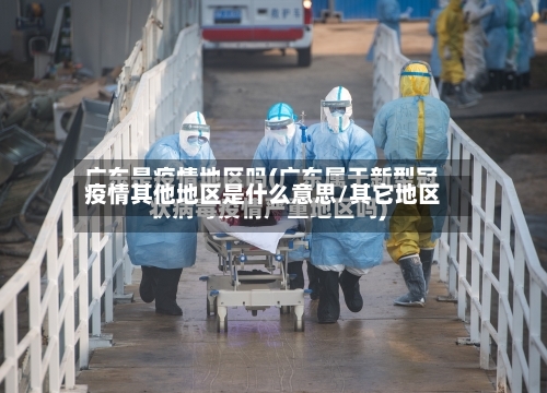 疫情其他地区是什么意思/其它地区